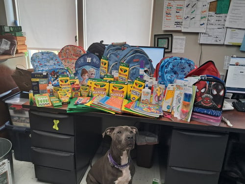 School supply donations on top of a desk with a brown dog sitting in front of it