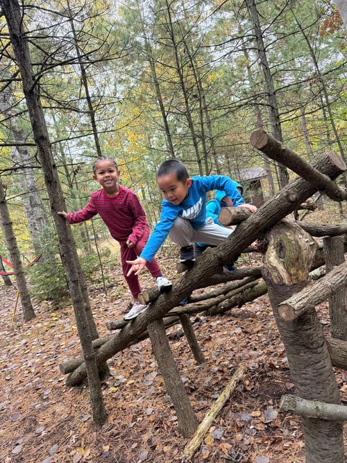 students climb tree trunks