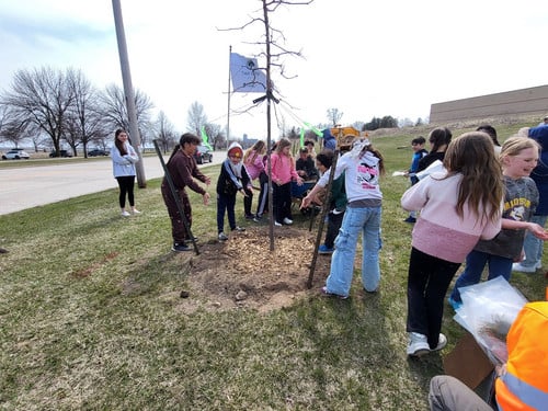 Madison students add mulch around new trees