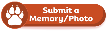 button to submit a memory/photo